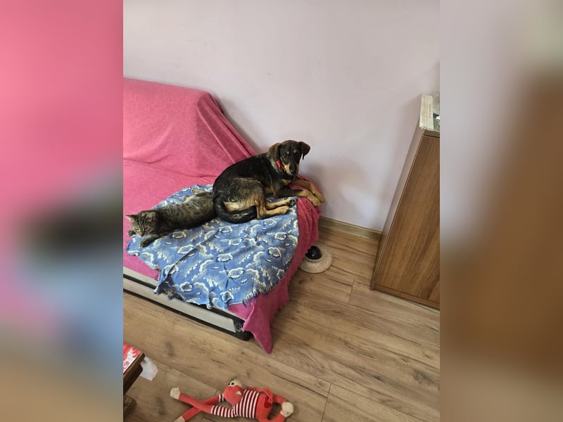 Nuri sucht ihr Zuhause