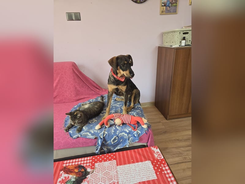 Nuri sucht ihr Zuhause