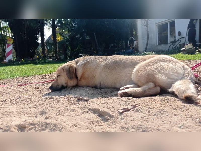 Jonathan Byers sucht sein Zuhause