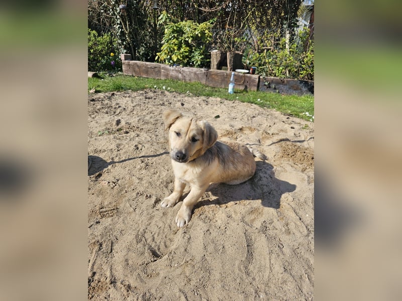 Jonathan Byers sucht sein Zuhause