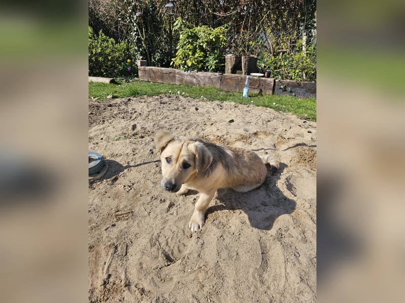 Jonathan Byers sucht sein Zuhause