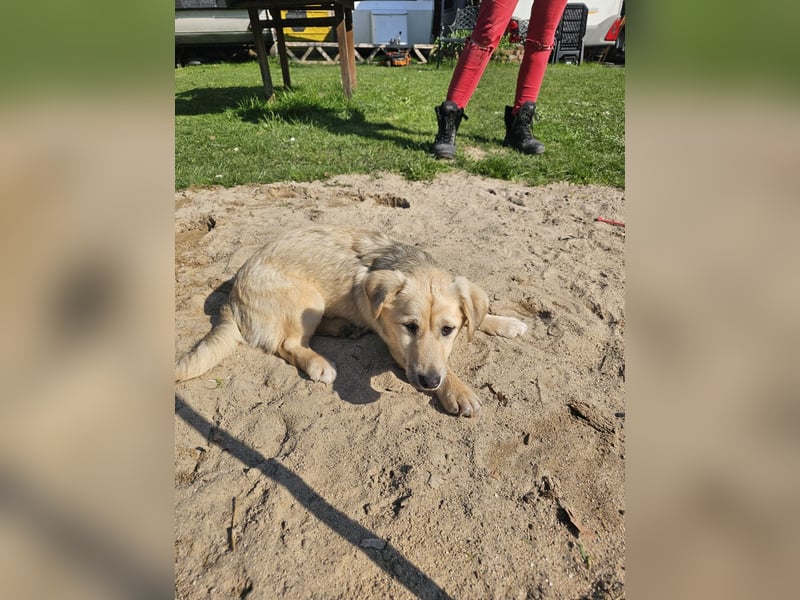 Jonathan Byers sucht sein Zuhause