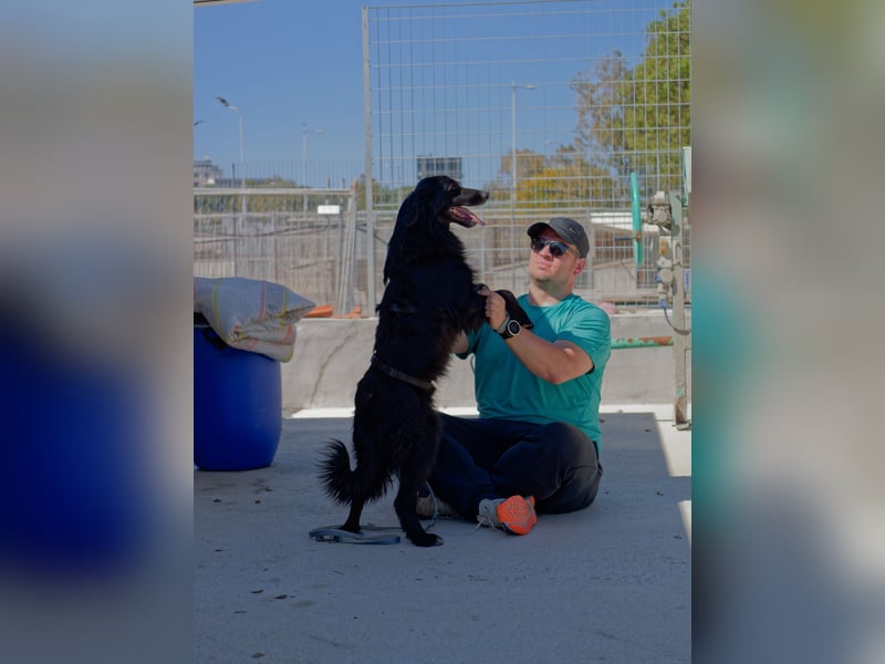 Sonic - eine Puschel-Rakete