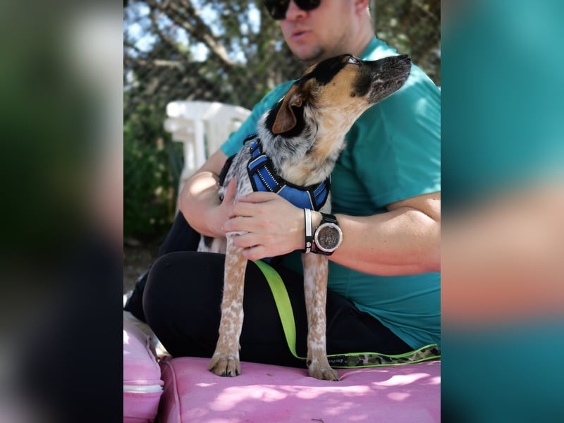 Ornix - Farbenspiel des Winds