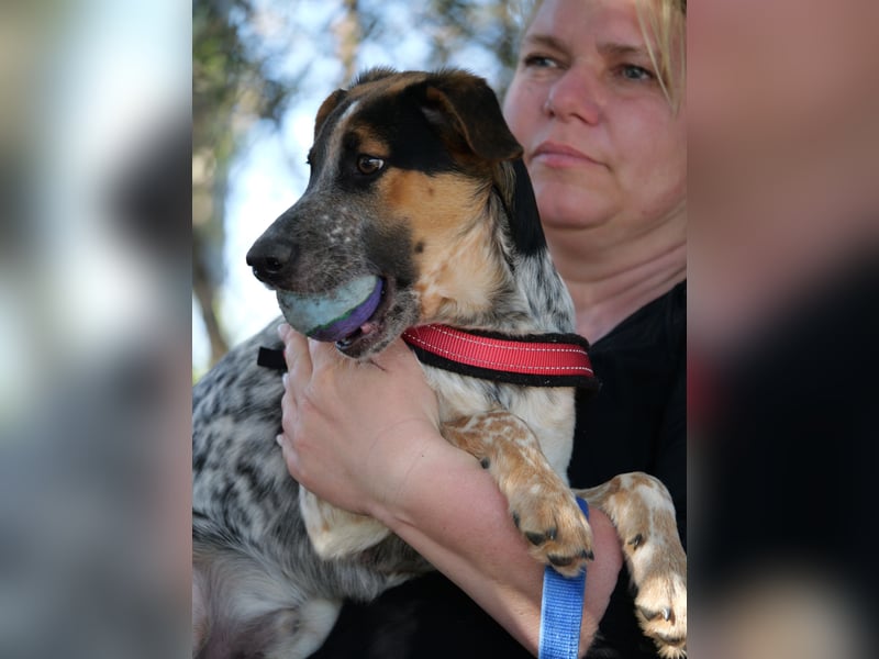 Ornix - Farbenspiel des Winds