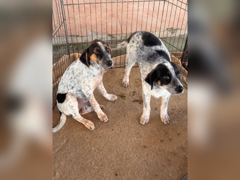 Reserviert - Oceano möchte endlich die Welt entdecken