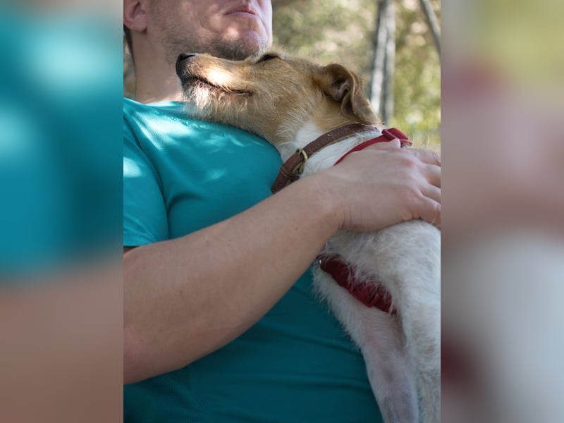 Selene - ein Engel auf 4 Pfoten