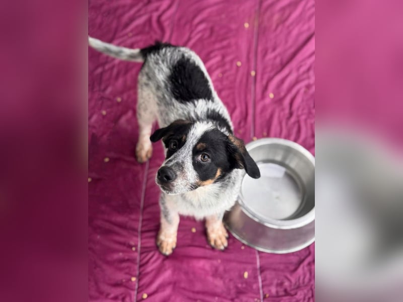 Reserviert - Oceano möchte endlich die Welt entdecken