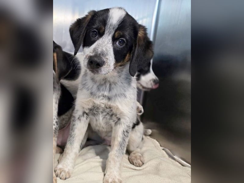 Reserviert - Oceano möchte endlich die Welt entdecken