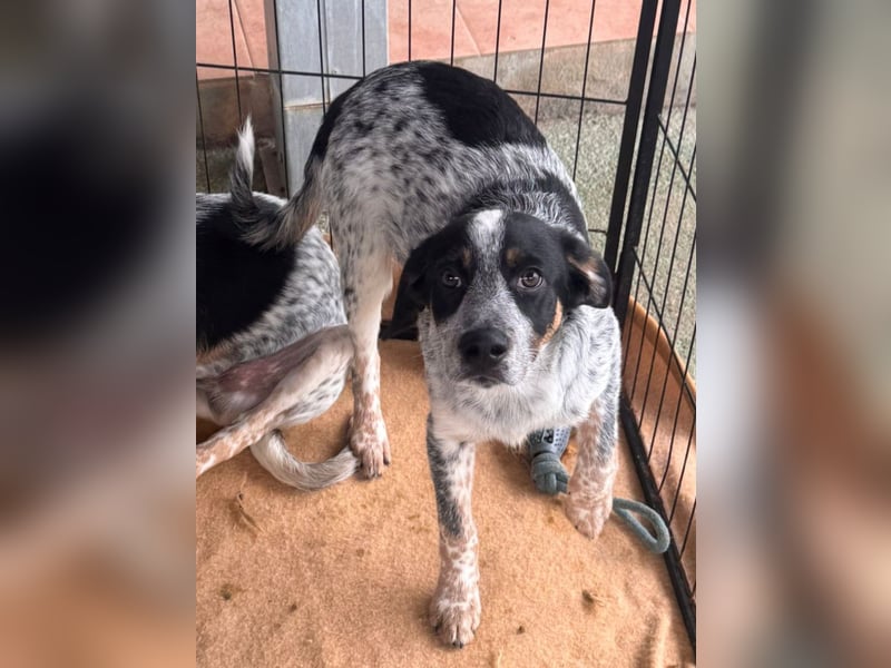 Reserviert - Oceano möchte endlich die Welt entdecken