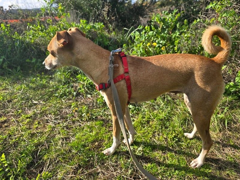 RESERVIERT - Mammola ist bereit für die großen Abenteuer