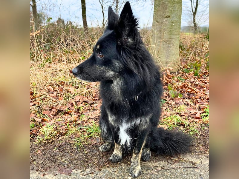 Samira - freundlich&menschenbezogen