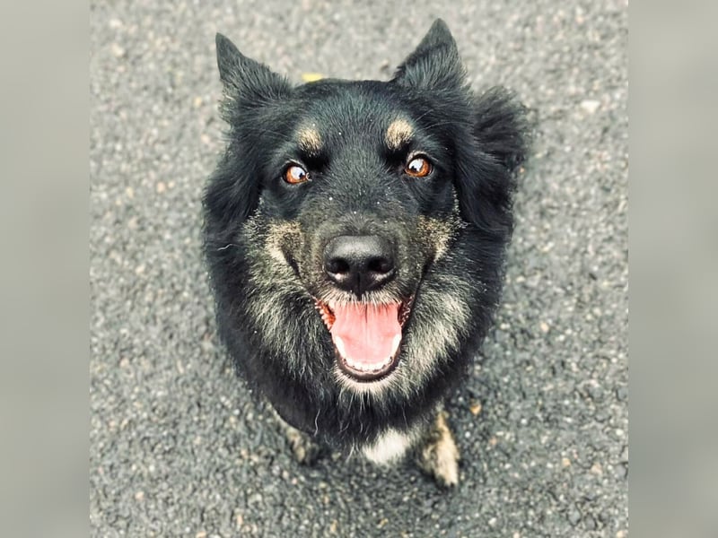 Samira - freundlich&menschenbezogen