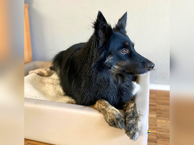 Samira - freundlich&menschenbezogen