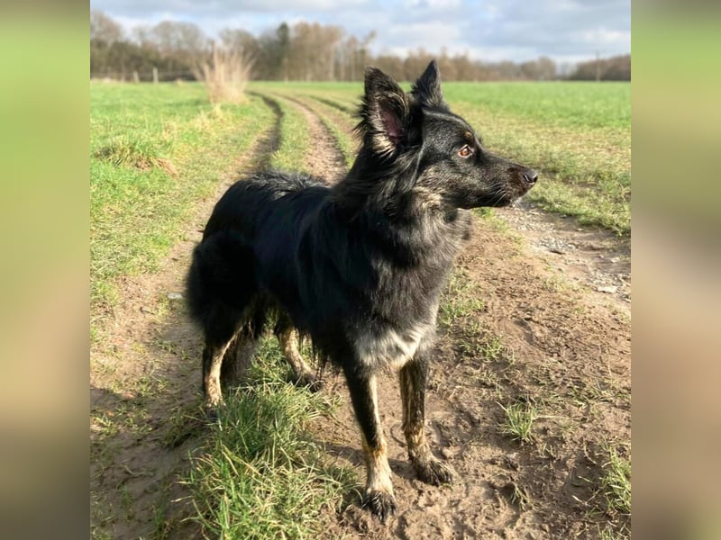 Samira - freundlich&menschenbezogen