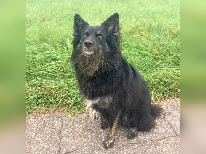 Samira - freundlich&menschenbezogen