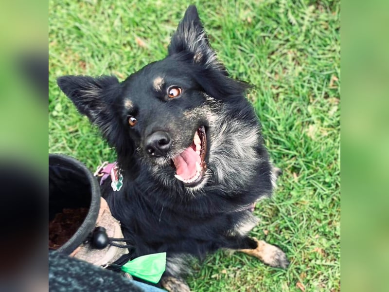 Samira - freundlich&menschenbezogen