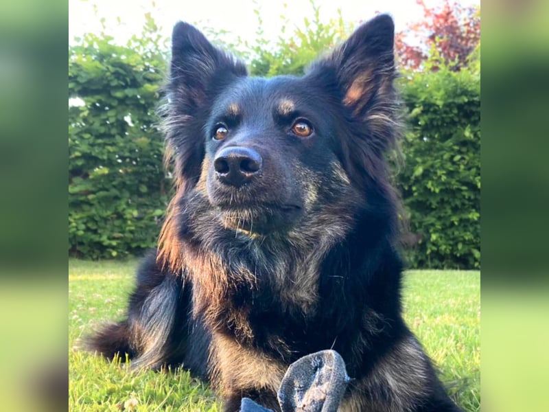 Samira - freundlich&menschenbezogen