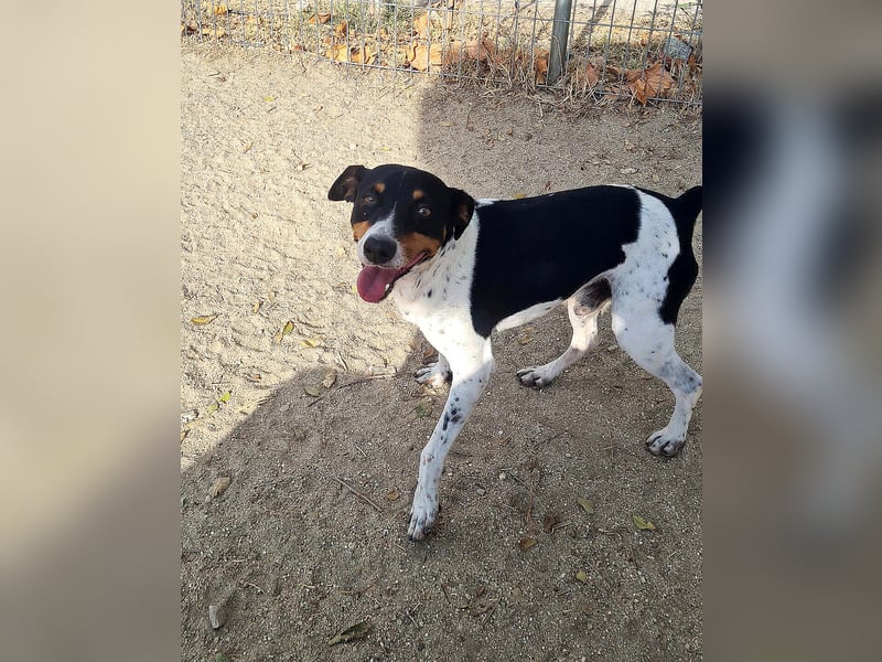 Aldi - lebensfroh und aktiv sucht er keine Couchpotatoes Aldi - lebensfroh und aktiv sucht er keine Couchpotatoes