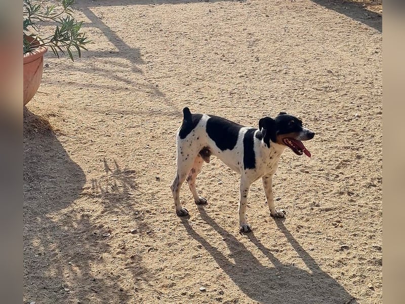 Aldi - lebensfroh und aktiv sucht er keine Couchpotatoes Aldi - lebensfroh und aktiv sucht er keine Couchpotatoes