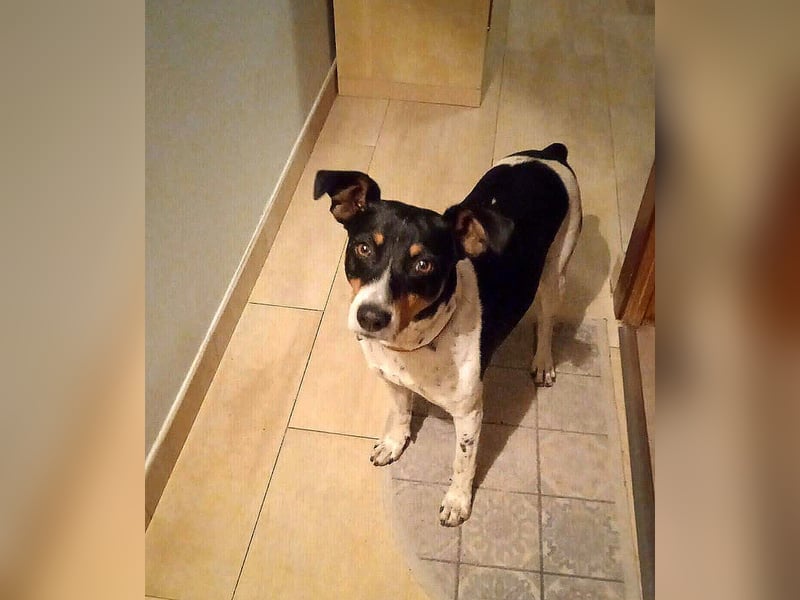 Aldi - lebensfroh und aktiv sucht er keine Couchpotatoes Aldi - lebensfroh und aktiv sucht er keine Couchpotatoes