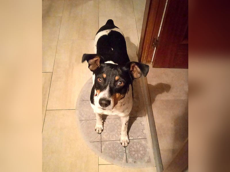 Aldi - lebensfroh und aktiv sucht er keine Couchpotatoes Aldi - lebensfroh und aktiv sucht er keine Couchpotatoes