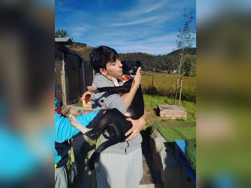 FITI - fröhliche junge Hündin sucht aktive Stabilität