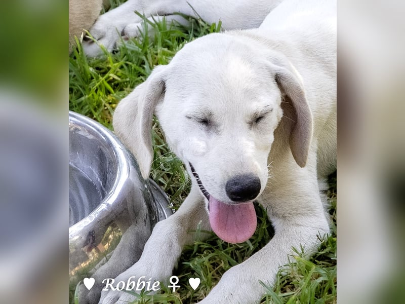 Roberta und Robbie, f.,  suchen eine Familie