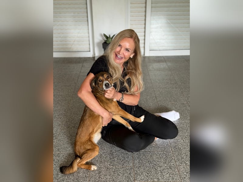 Traurige Bella  kann in der Südpfalz  besucht werden