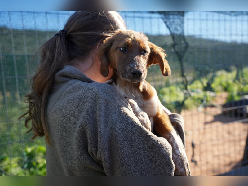 Elias und Elton  suchen  ein Zuhause
