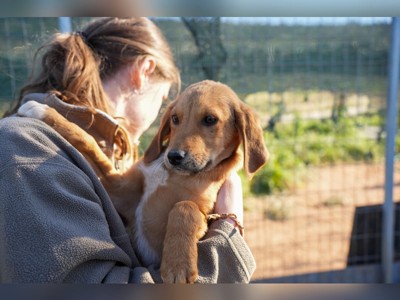 Elias und Elton  suchen  ein Zuhause