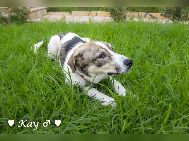 Kea  und Kay auf der Suche nach ihrer Familie