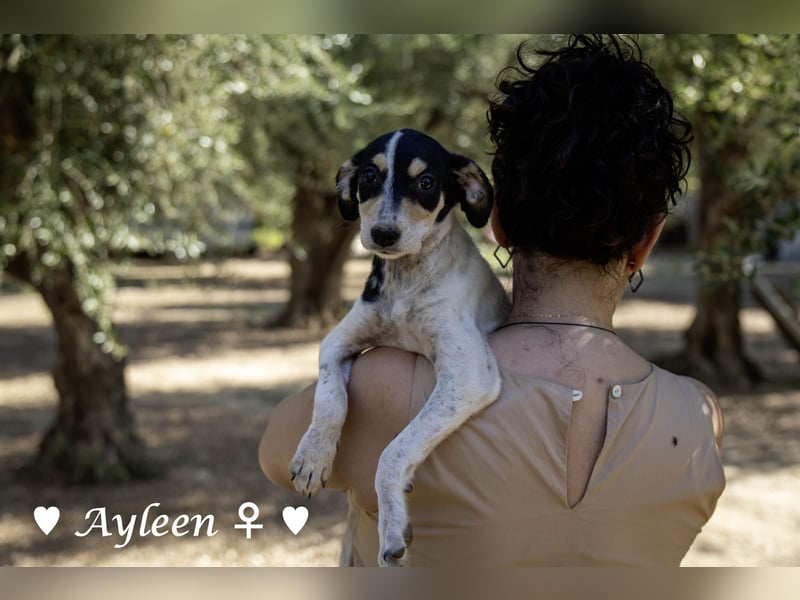 Axel und Ayleen suchen ein Zuhause