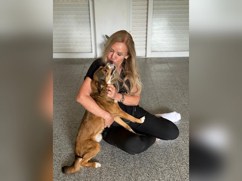 Traurige Bella  kann in der Südpfalz  besucht werden
