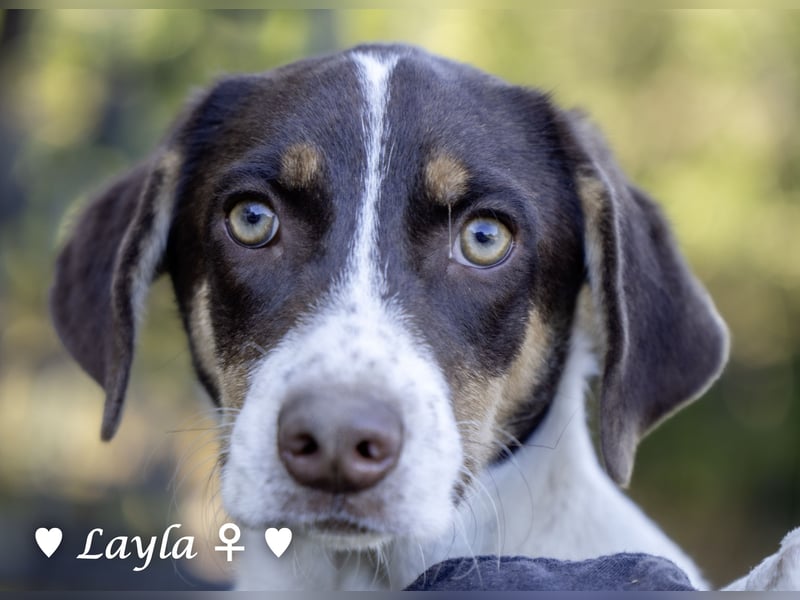 Ayleen und Layla suchen ein Zuhause