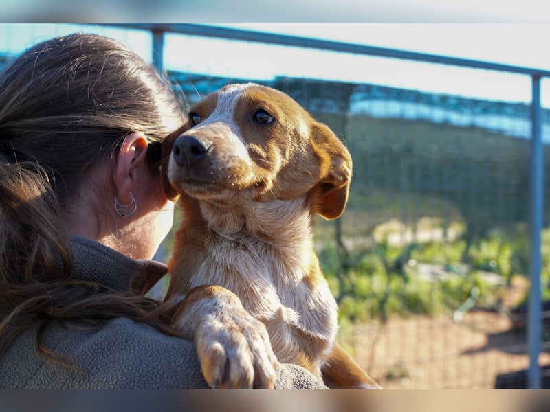 Elias, Evi, Elli und Eros suchen ab Ende März ein Zuhause