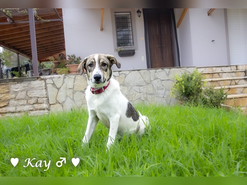 Kea  und Kay auf der Suche nach ihrer Familie