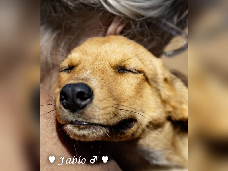 Prince und Felina  suchen ein Zuhause