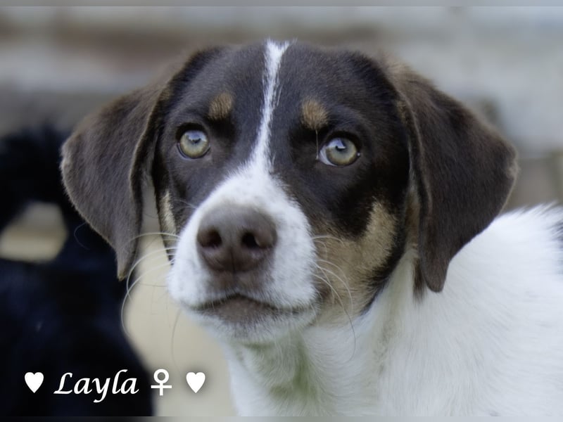 Ayleen und Layla suchen ein Zuhause