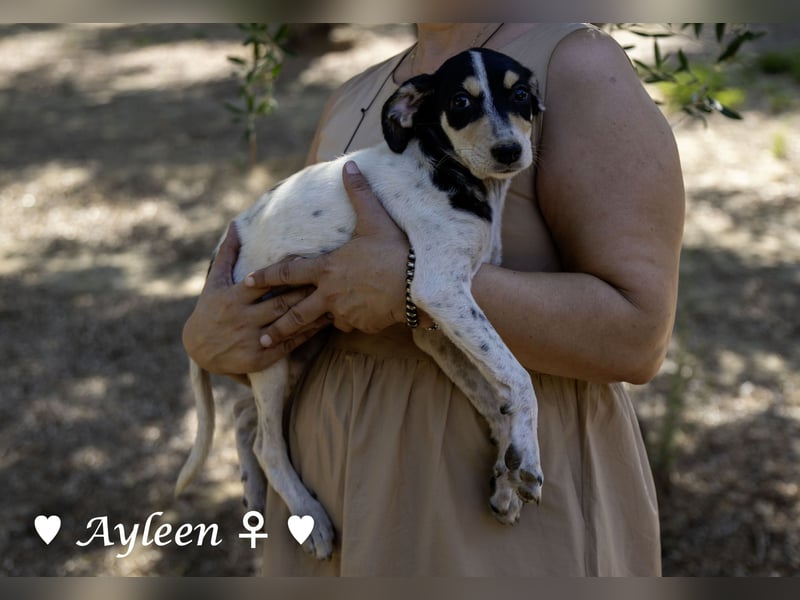 Axel und Ayleen suchen ein Zuhause