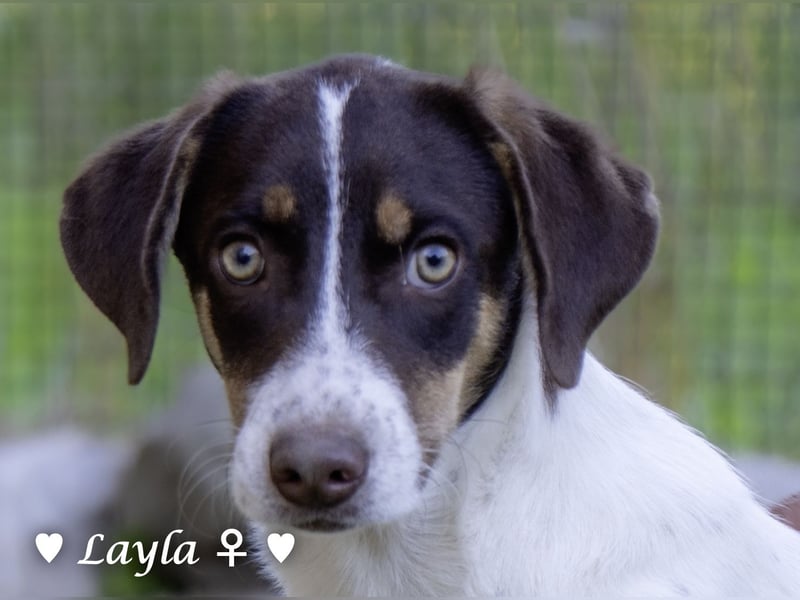 Ayleen und Layla suchen ein Zuhause