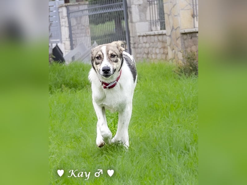 Kea  und Kay auf der Suche nach ihrer Familie