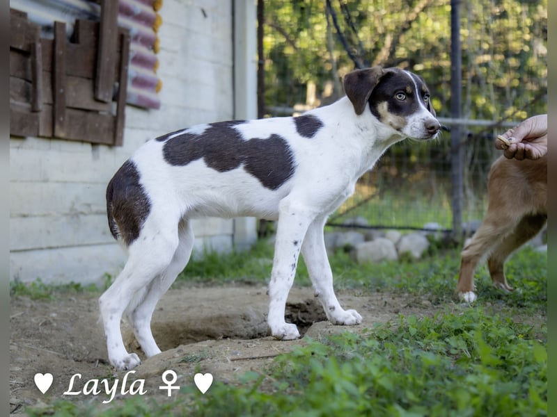 Ayleen und Layla suchen ein Zuhause