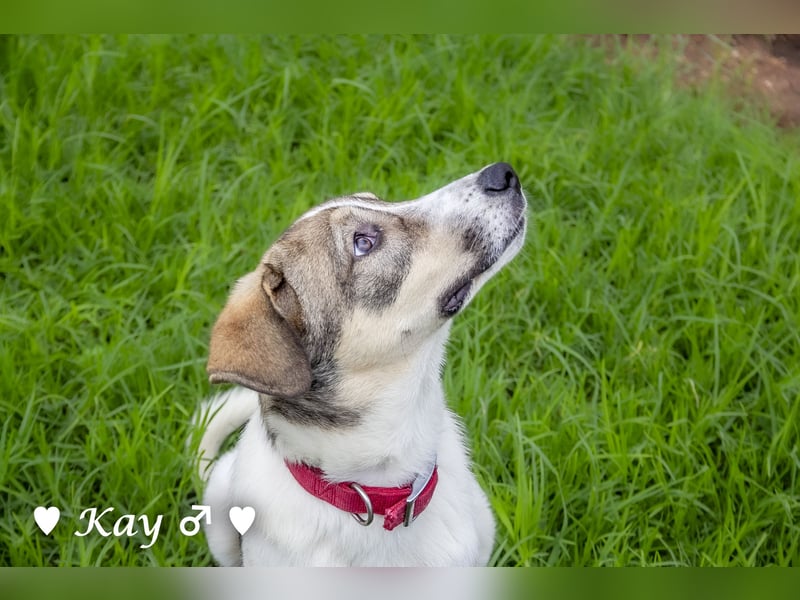 Kea  und Kay auf der Suche nach ihrer Familie
