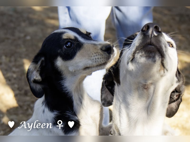 Ayleen und Layla suchen ein Zuhause