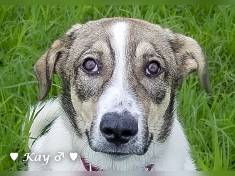 Kea  und Kay auf der Suche nach ihrer Familie