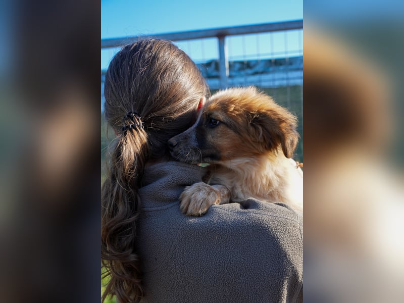 Elias, Evi, Elli und Eros suchen ab Ende März ein Zuhause