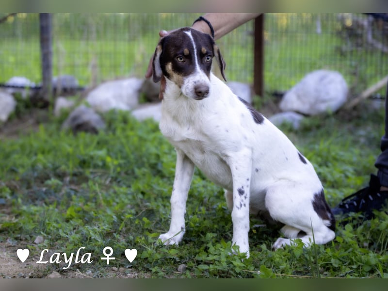 Ayleen und Layla suchen ein Zuhause