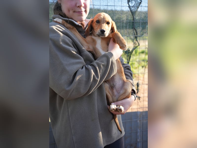 Elias und Elton  suchen  ein Zuhause