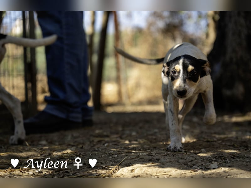 Axel und Ayleen suchen ein Zuhause